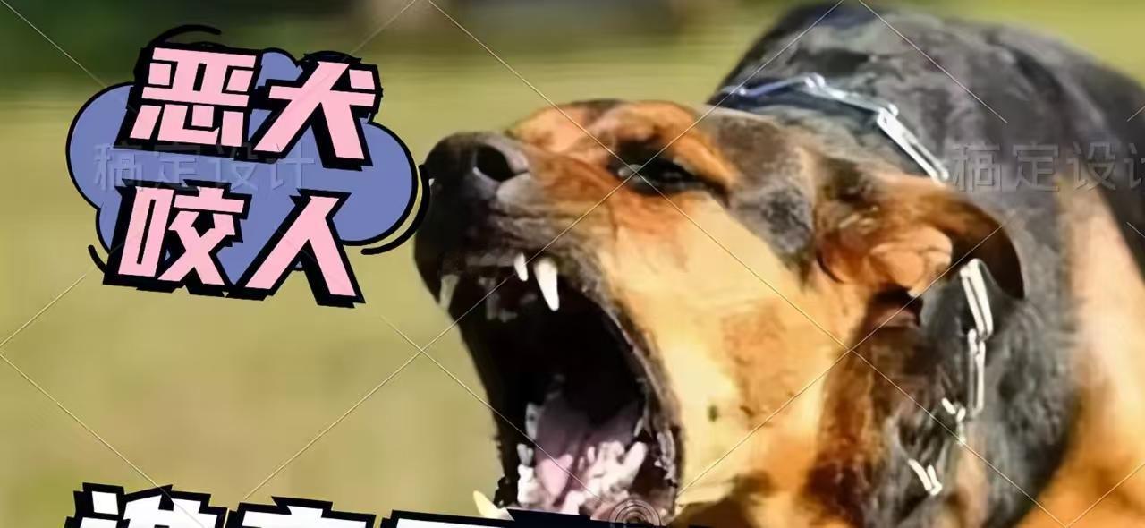 遛狗相当于拿刀逛街，非常危险，强烈呼吁城区内禁止养狗。其实养狗对人的潜在危害非常