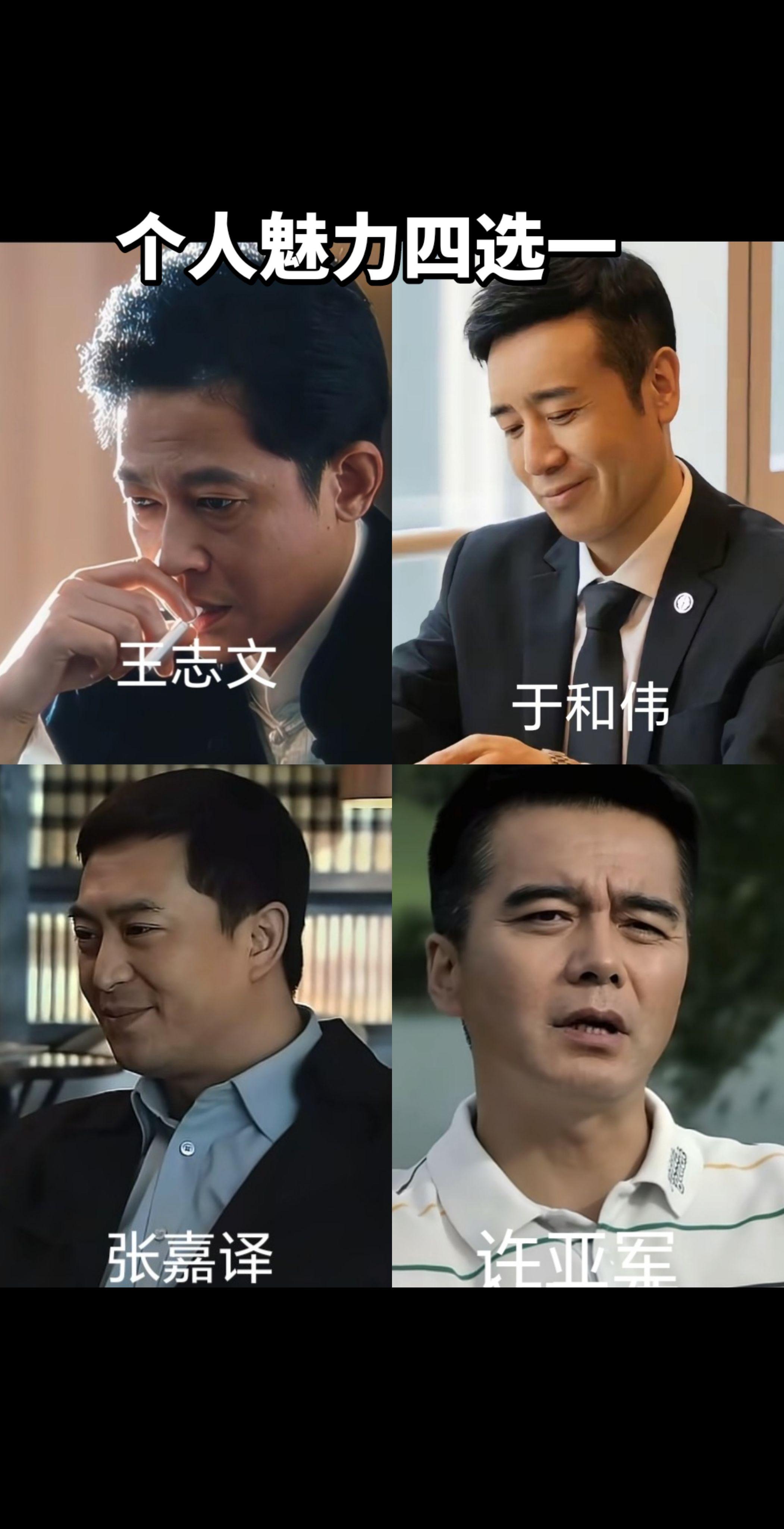 许亚军张嘉译于和伟王志文