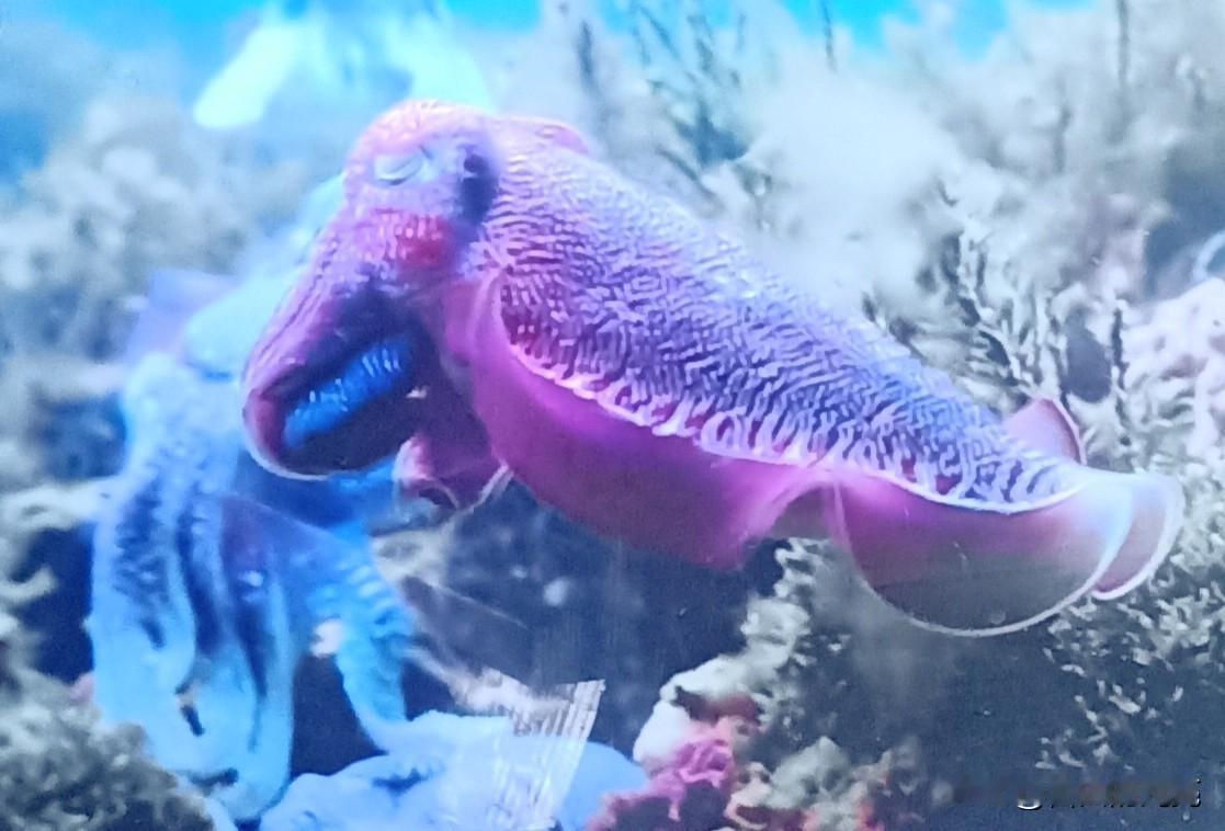 不知你们发现没？
在头条有些人会在文章末尾这样写:
″码字不易，点个赞再走吧！"