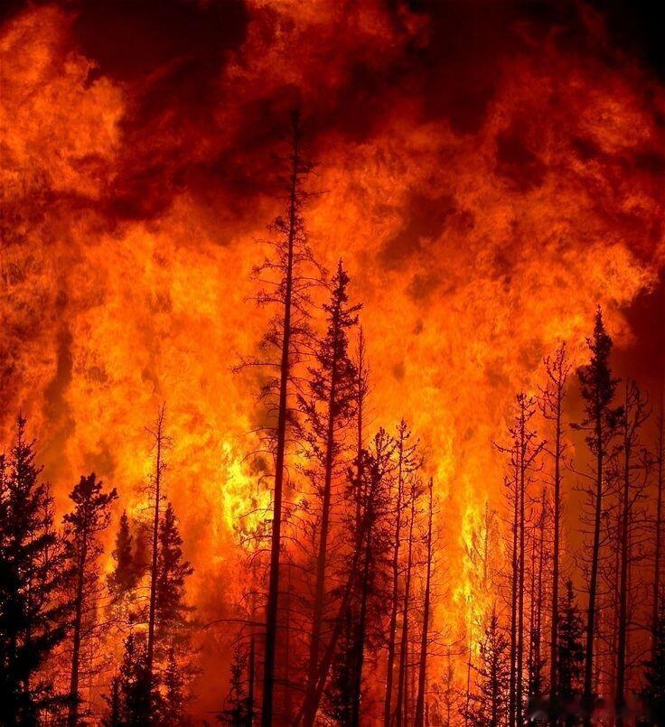洛杉矶华人以为误入末日 🔥洛杉矶山火失控，2025年开年不利！⚠️洛杉矶山火无