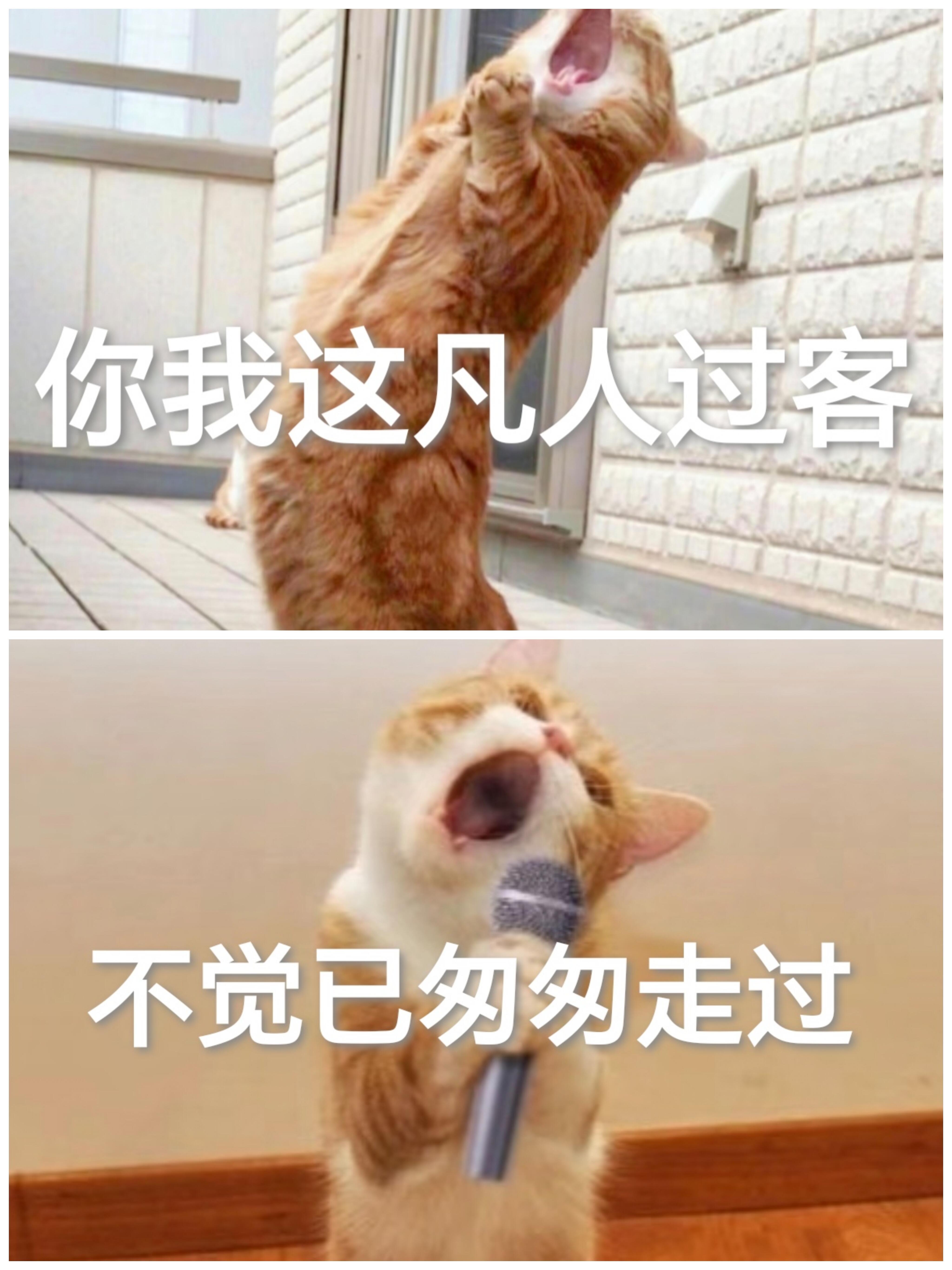 本来还准备了一些动漫稿，然后发现靠昨天一条杨洋的博文保橙了。幸福来得如此突然，谢