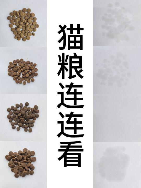 让朋友看出油纸猜猫粮，结果0人猜对