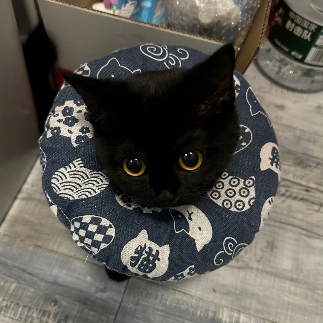 你知道的…毕竟我从小就离开了妈妈🥺