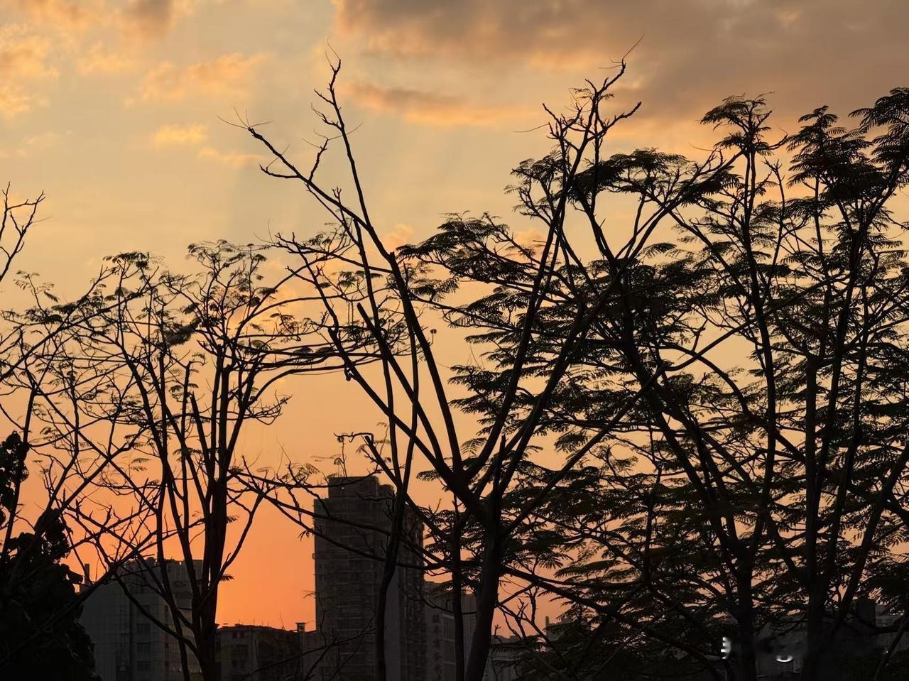 今天是4月23日，星期四，晚上好！

人生本就是一场与温柔的相遇，接纳不完美，原