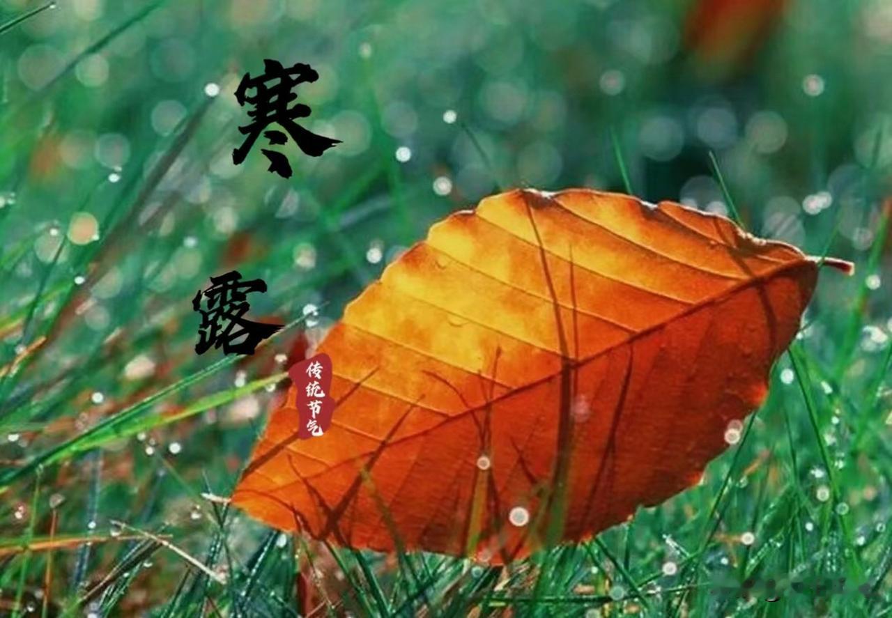 “公寒露冷飕飕，母寒露雨不休”，10月8日寒露，今年是公寒露还是母寒露？
 
各