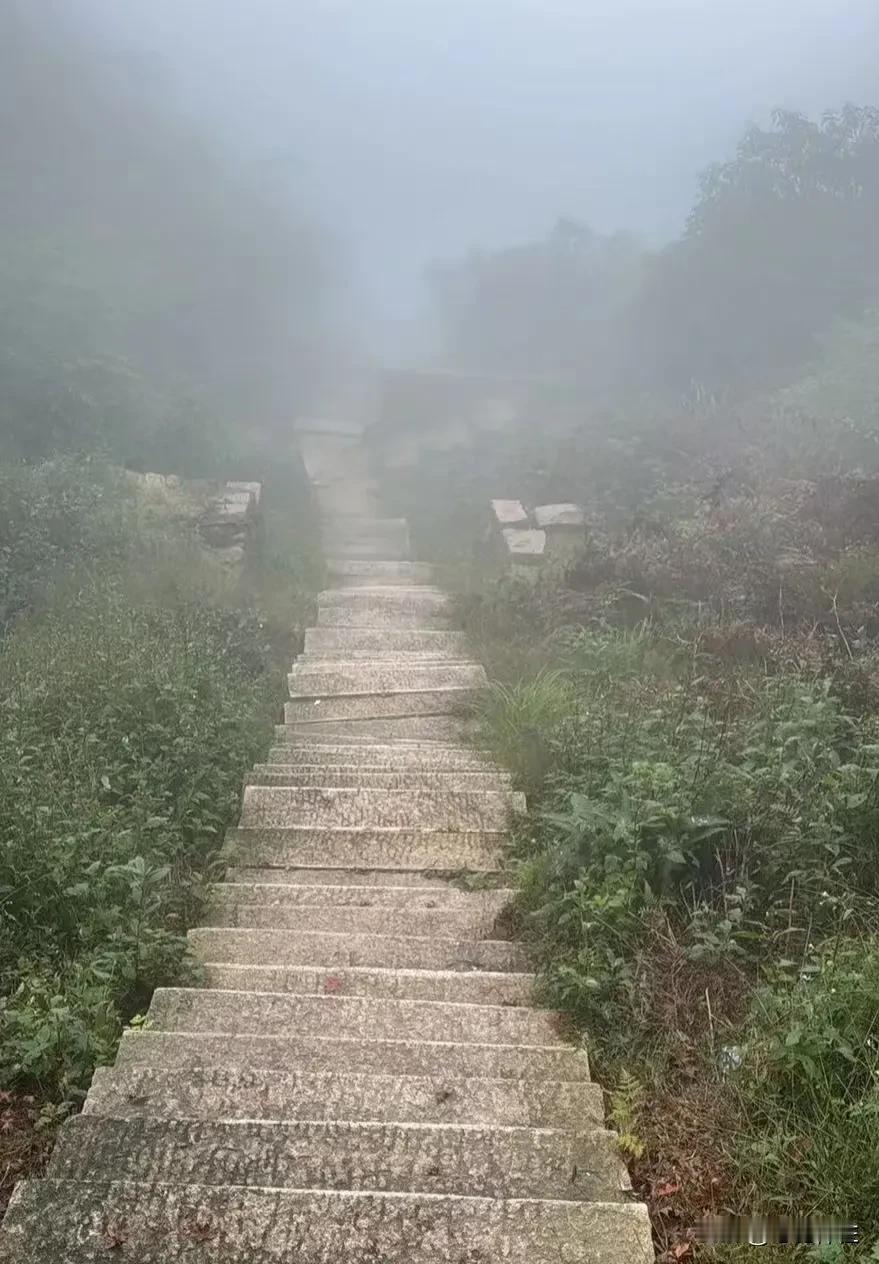 一个人最大的无知是什么?
不晓得自己无知，还处处为自己的无知买单