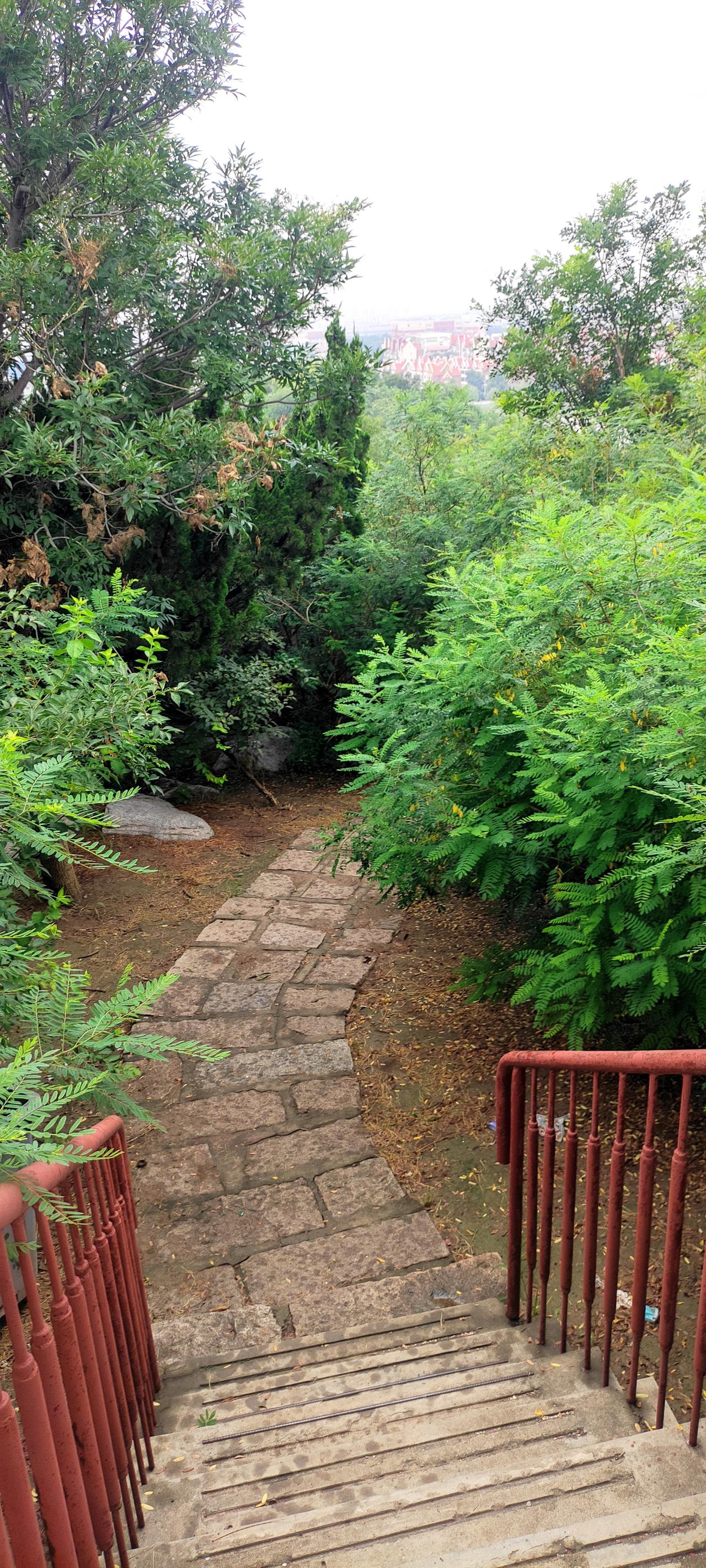 雨后草木湿润、山路湿滑，来到望海山登了一圈，登到山顶时大汗淋漓、稍做喘息就下山了