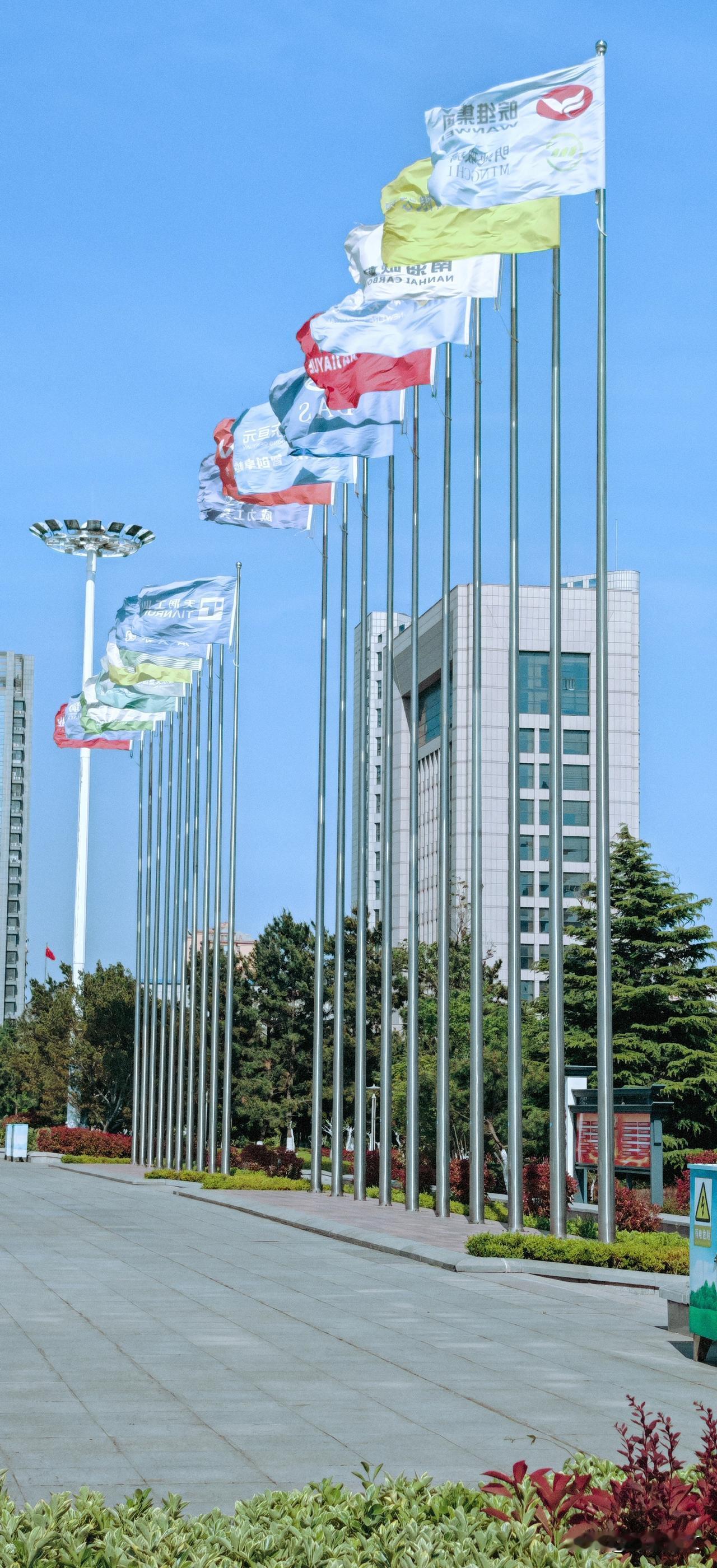 晒图笔记大赛威海市文登区文登学公园，飘扬着文登区众多知名企业的旗帜，这些企业旗帜