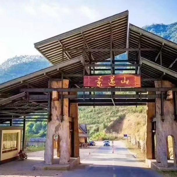 大山里的原生态