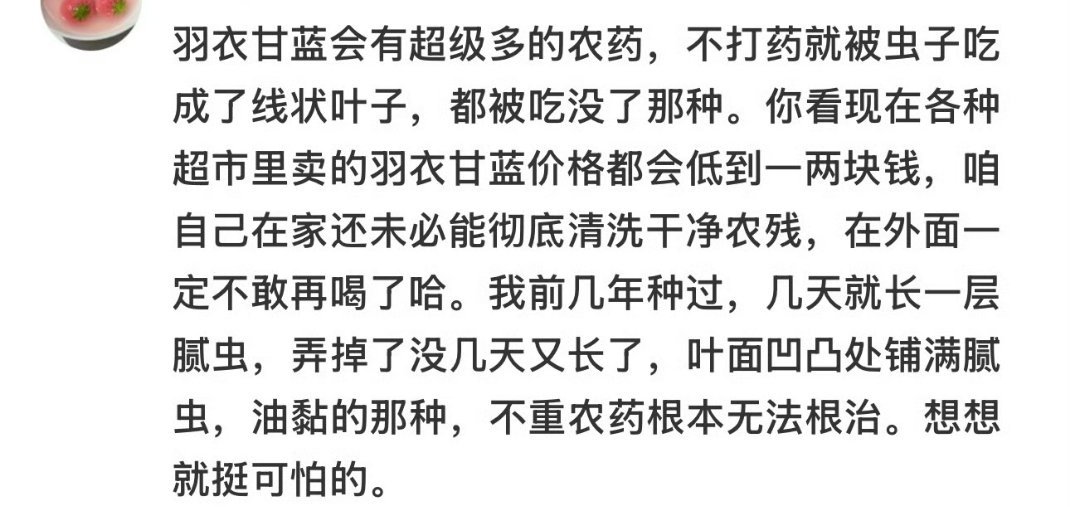羽衣甘蓝 农药我可爱喝GOODME的那个羽衣甘蓝了结果是农药大户感觉又被背刺了[