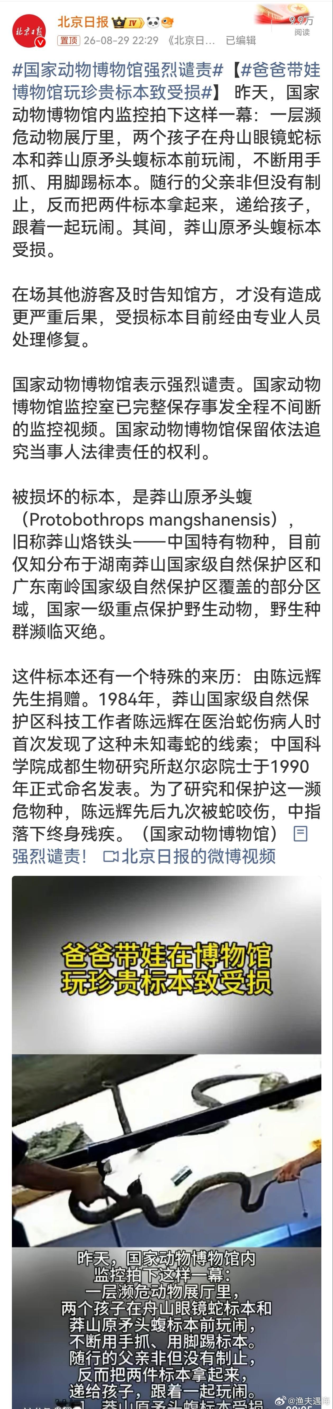 国家动物博物馆强烈谴责孩子不懂可以引导，成年人该守住参观的底线。带孩子参观博物馆