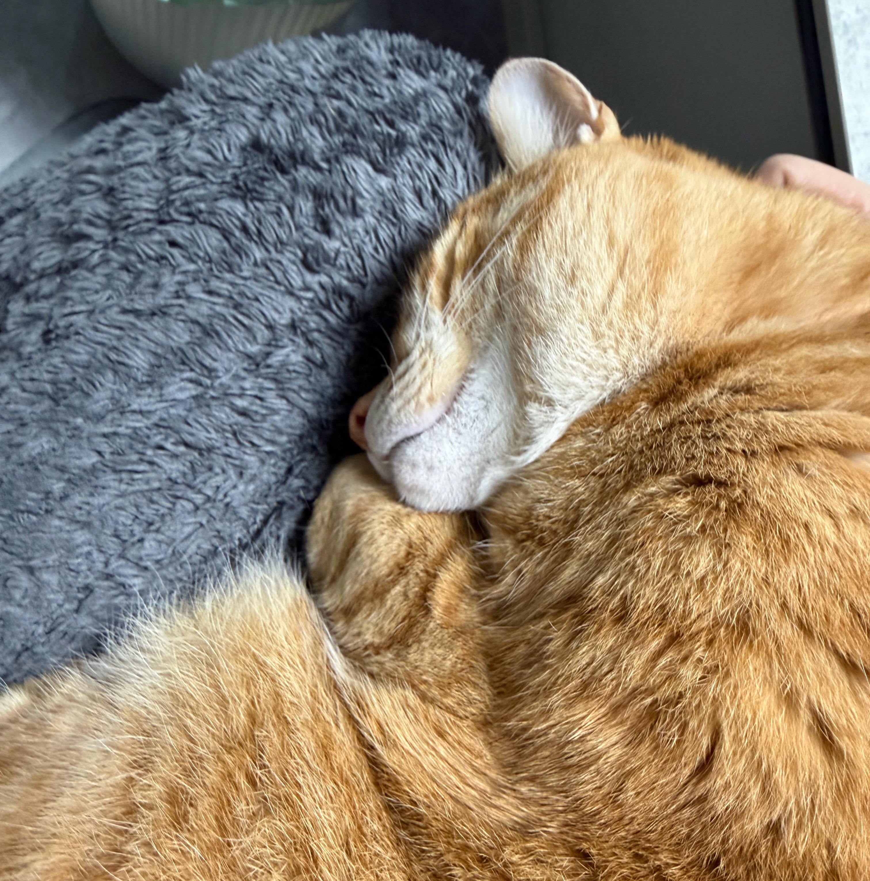 网瘾大到了只玩手机都不行刷视频、打游戏、刷社交软件，轮番折腾，明明眼睛酸、脑子空