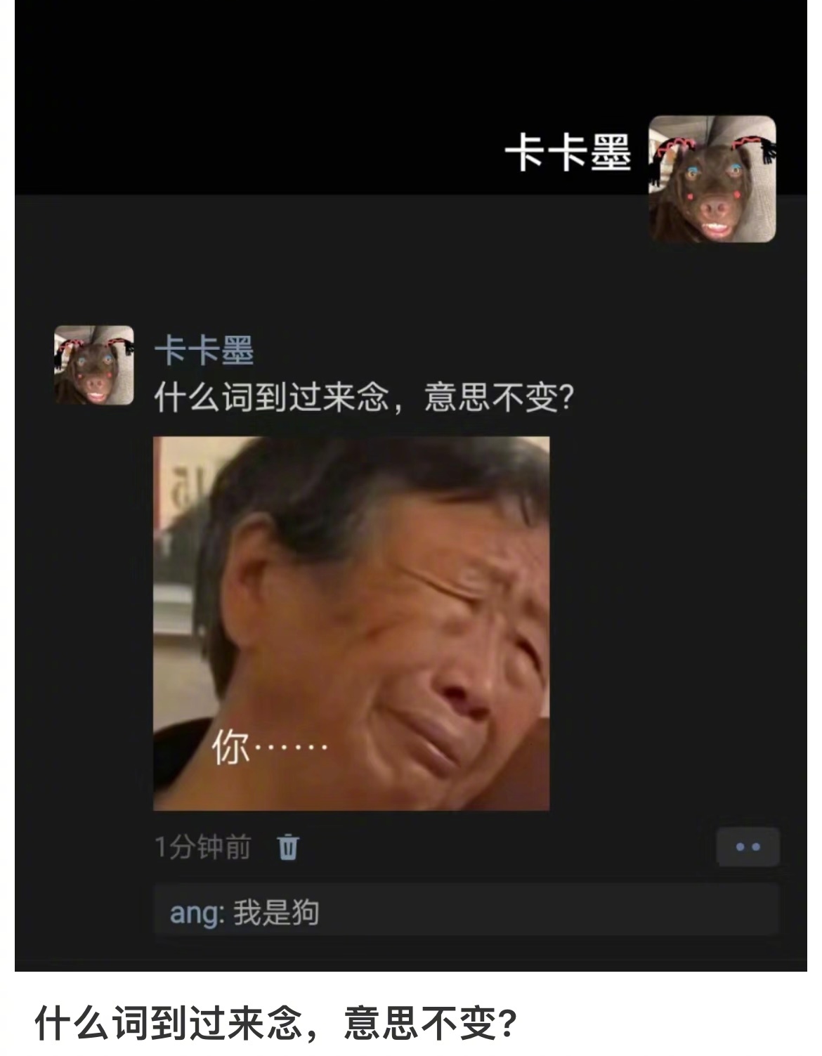 什么词倒过来念，意思不变？#我的春日狂欢日记# ​​​