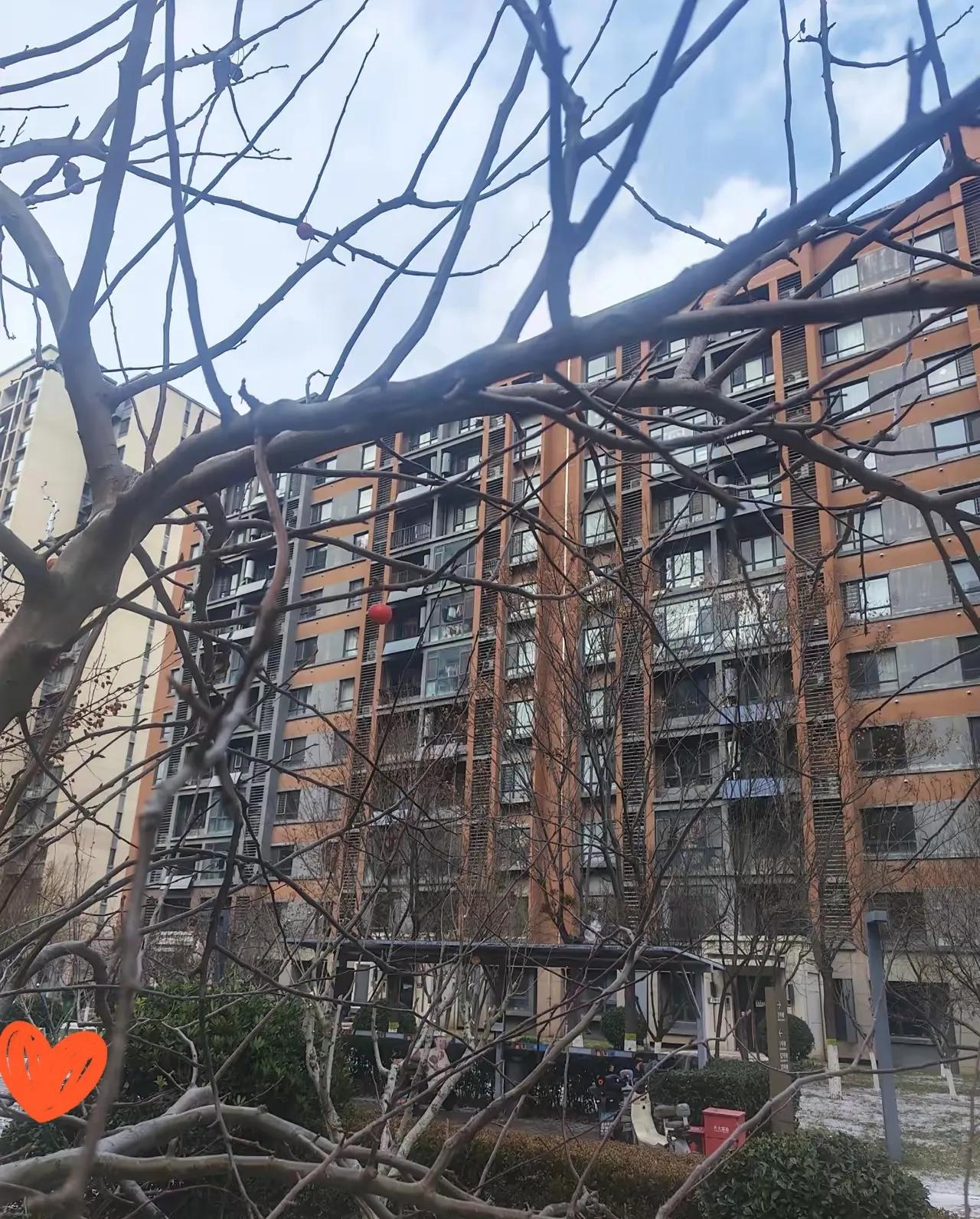 烟台最近炸锅了！LG工厂说搬去越南就搬了，不是破产是迁移，1400个打工人突然面