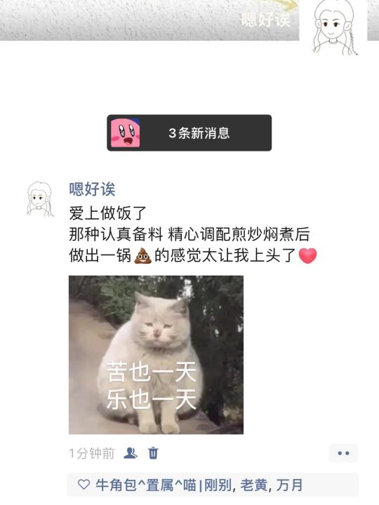 爱上做饭了