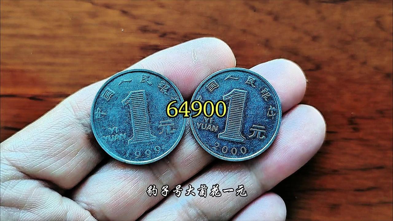 大菊花一元硬币收藏热度飙升，你家旧币里有吗？

1️⃣版本与年份：大菊花一元分两
