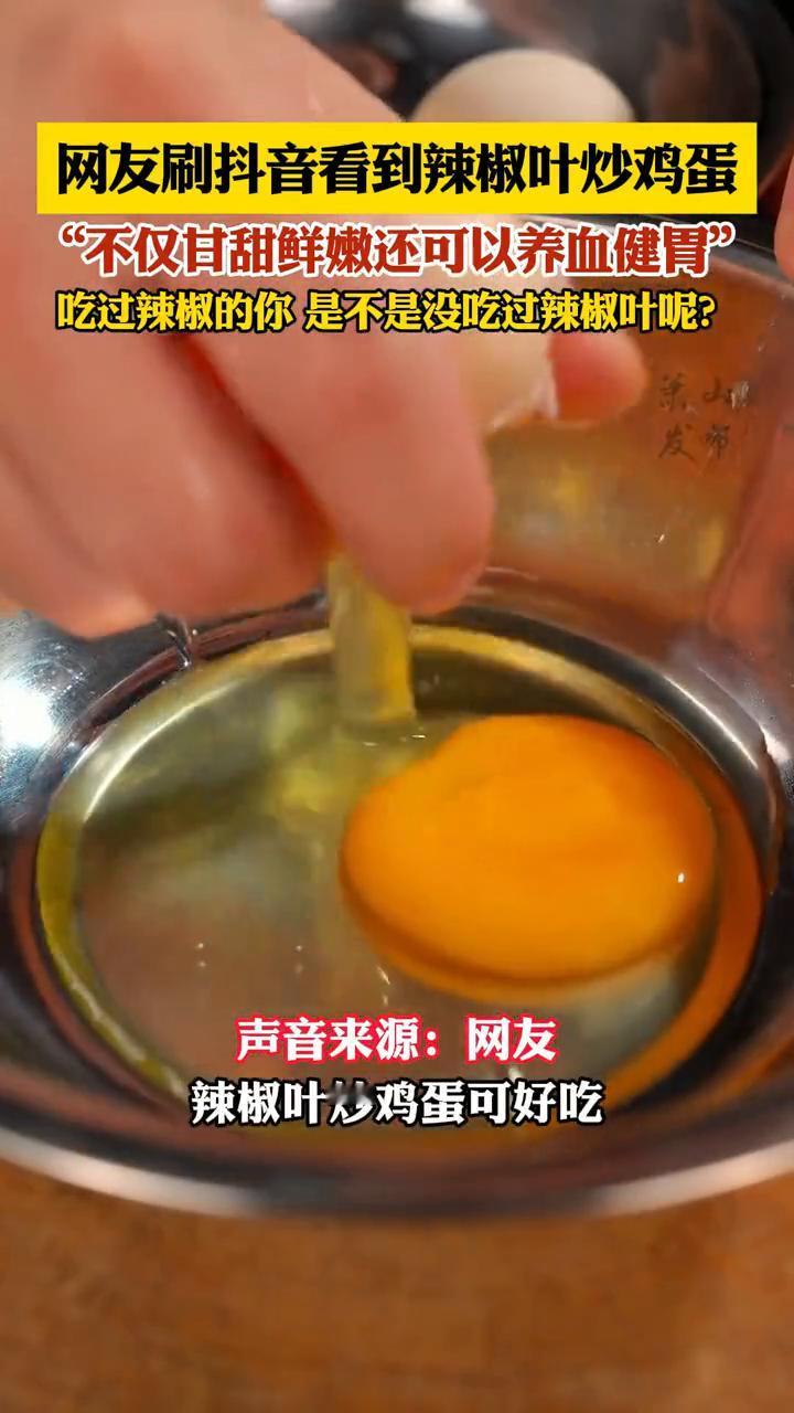 网友刷抖音看到辣椒叶炒鸡蛋，