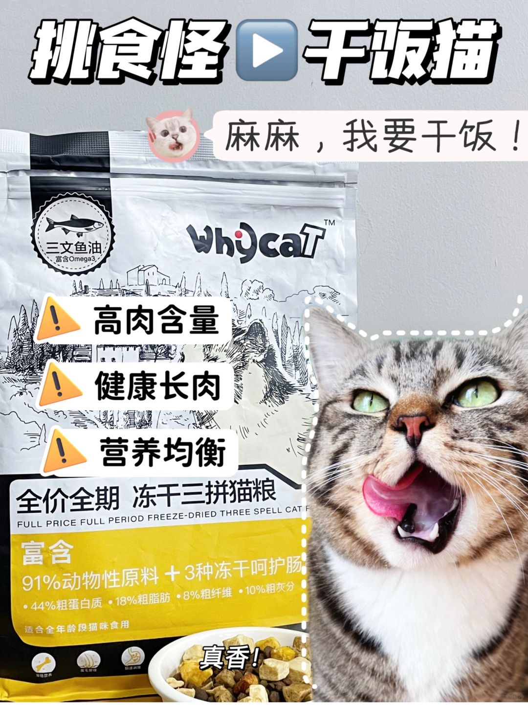 喜提干饭猫 | 挑食瘦小猫这样选赢麻了‼
