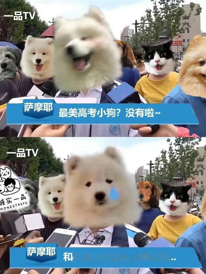 依旧笨蛋 