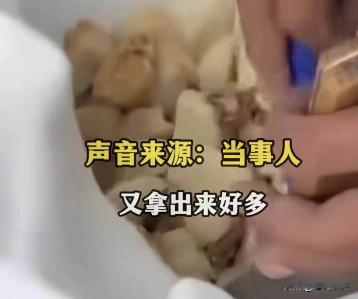 哎，真的是无法想象，如果女子没有拿手机拍的话，摊主会不会对她出更过分的事情。就在