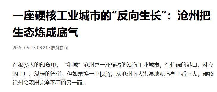 钢铁之城与羽毛同栖：南大港入世遗

在很多人心里，沧州等于港口和管道，空气里都是