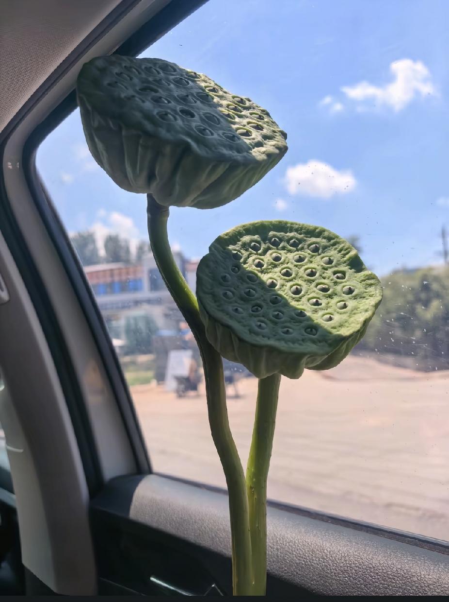 女人的体面，就三样：
身不越界，不碰不属于自己的感情；
内心不贪，不眼红别人拥有