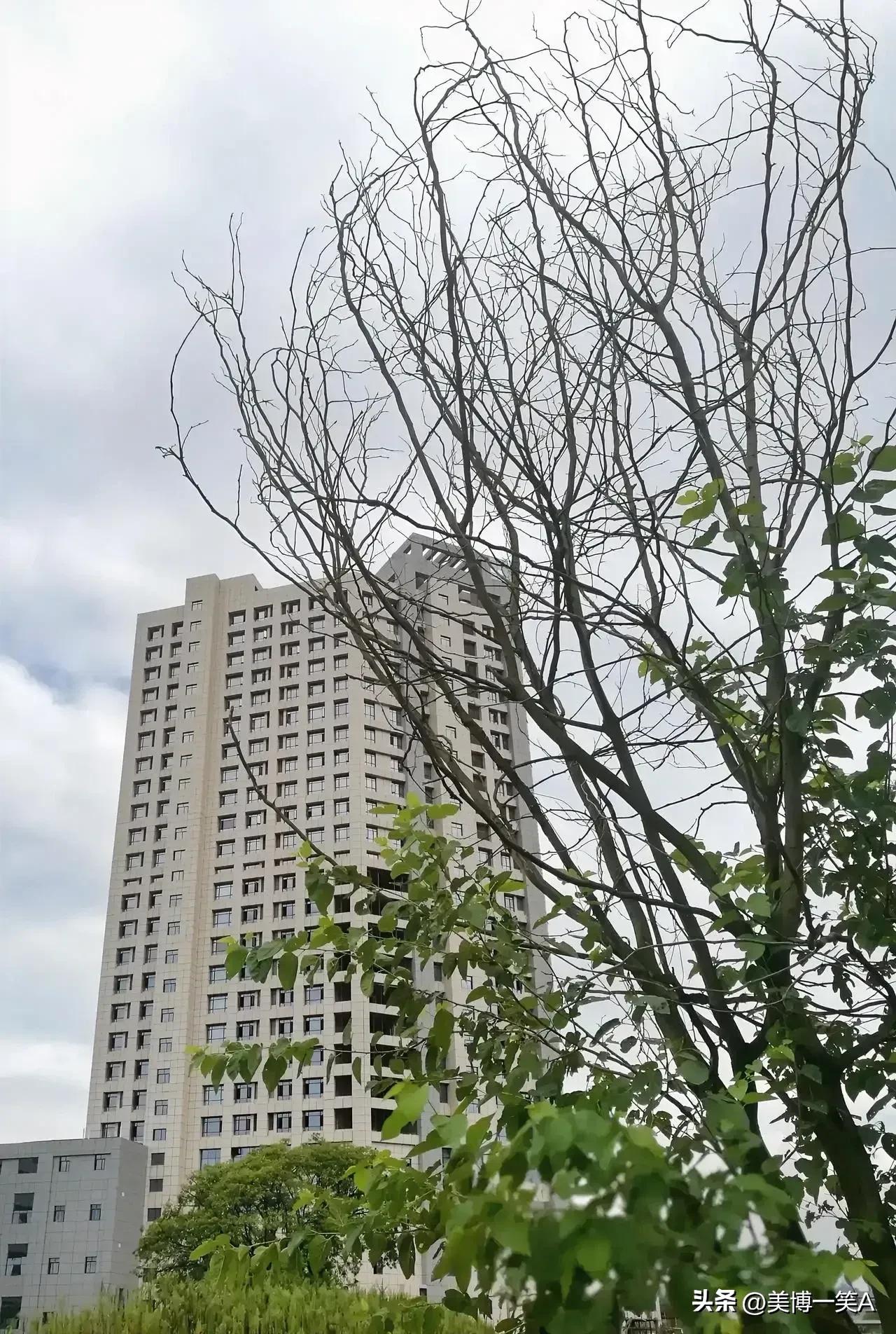 人本平等，可因学识深浅，便有认知差别，才有买卖劳动力的市场。
今中午美博一笑与家