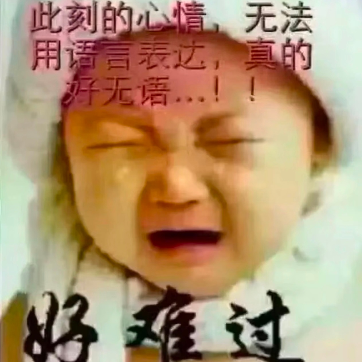 分享图片 