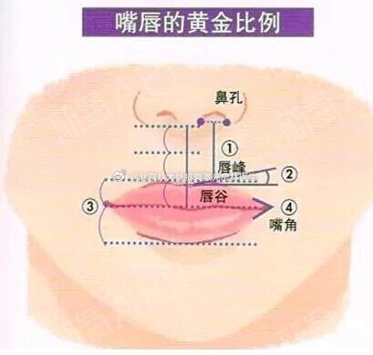 【丰唇选什么材料？自体脂肪还是玻尿酸？】#名医面对面##医美玻尿酸科普大会# 唇