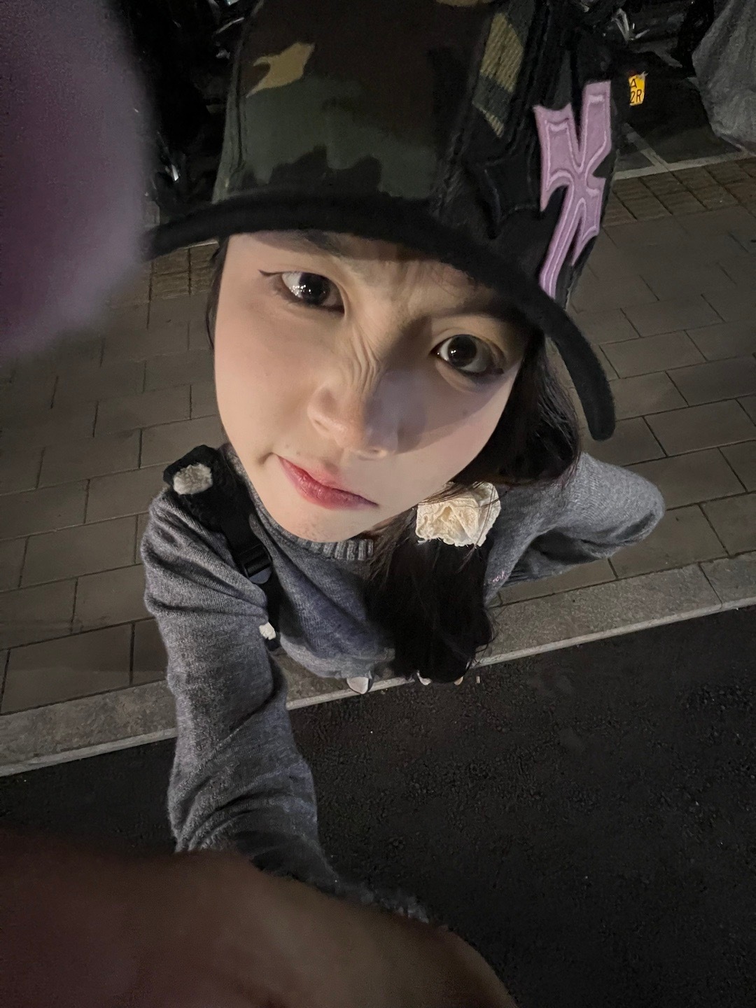 🐨  