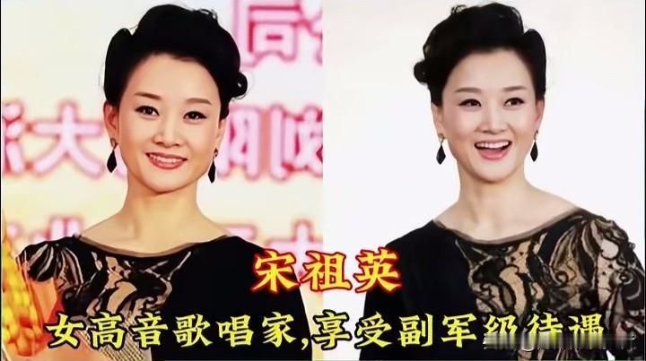 十位德艺双馨的顶级歌唱家，拥有军级待遇，是军队文艺战线的瑰宝。宋祖英、黄文华、王
