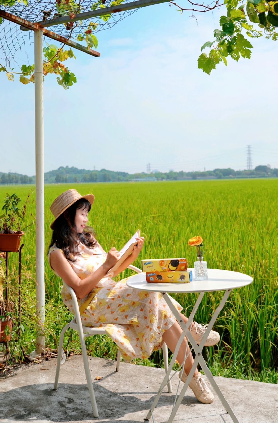 短暂逃离城市🌾中山崖口，风吹麦浪稻花香