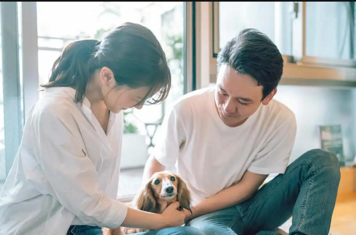 我以为生孩子是保险，结果70岁时发现——孩子不是防线，是定时炸弹"

他70岁了