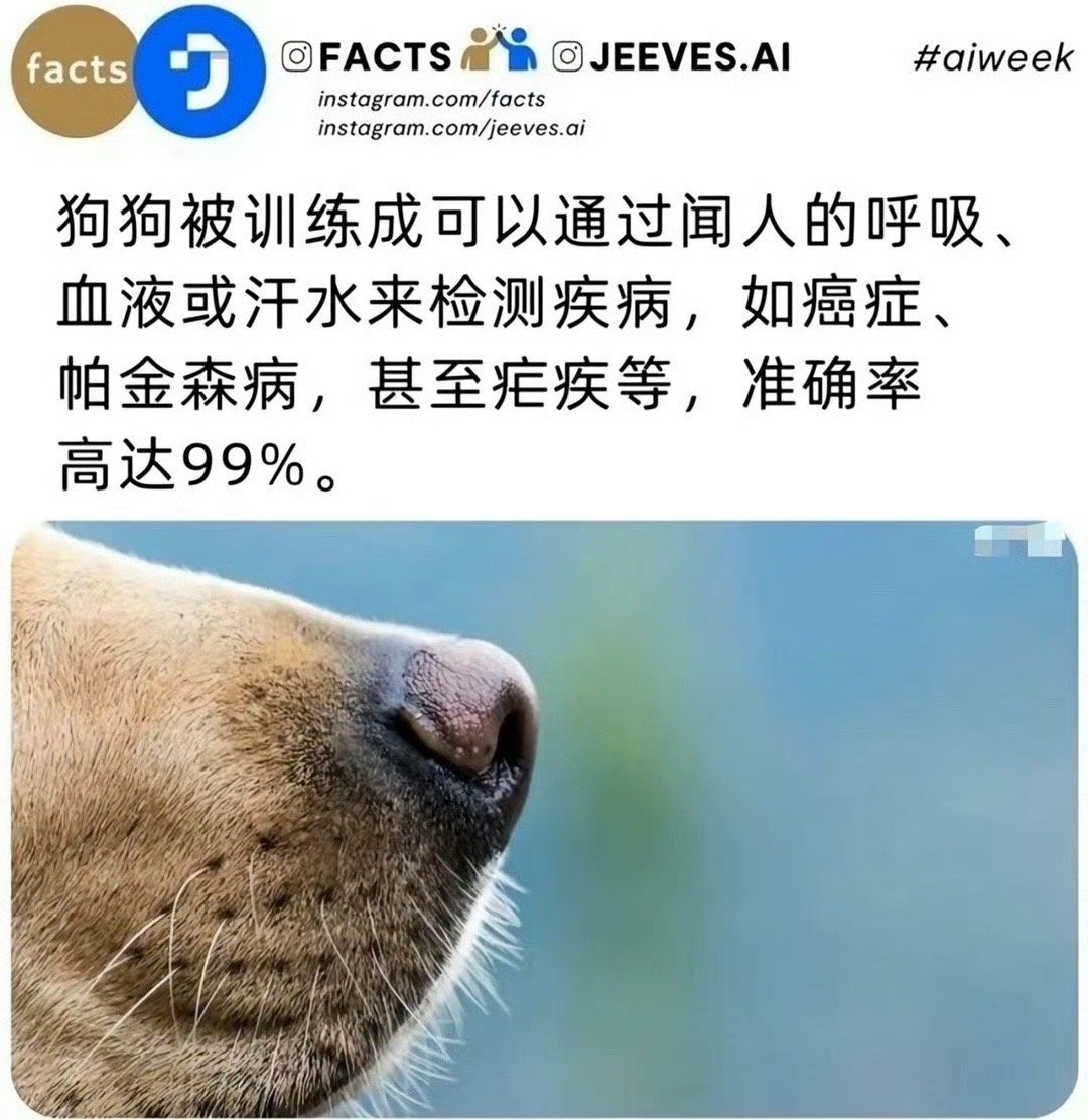 狗狗被训练成可以通过闻人的呼吸、血液或汗水来检测疾病，如癌症、帕金森病，甚至疟疾