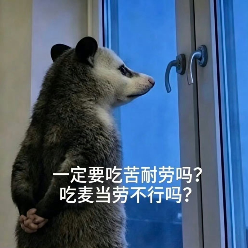 周末计划vs实际周末 计划里是看书健身学做菜，实际是赖床刷剧外卖躺一天，理想与现