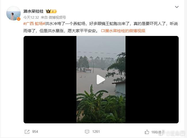 这真的假的，真的那可就太吓人了广西 蛇场