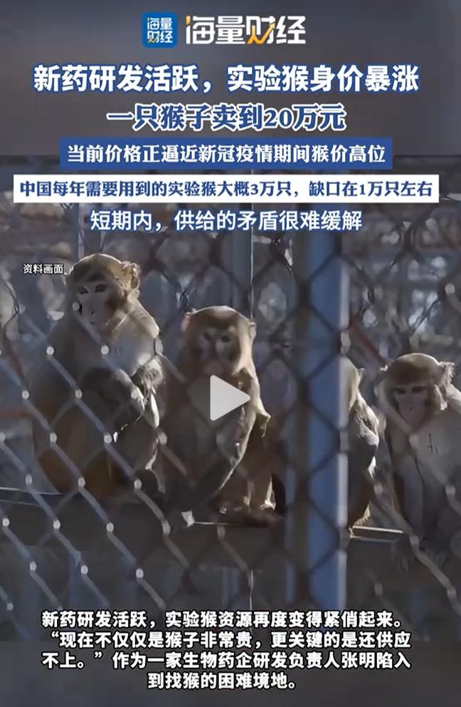 太暴利了！7月11日报道，随着今年新药研发的火爆，一只实验猴的身价，居然最高20