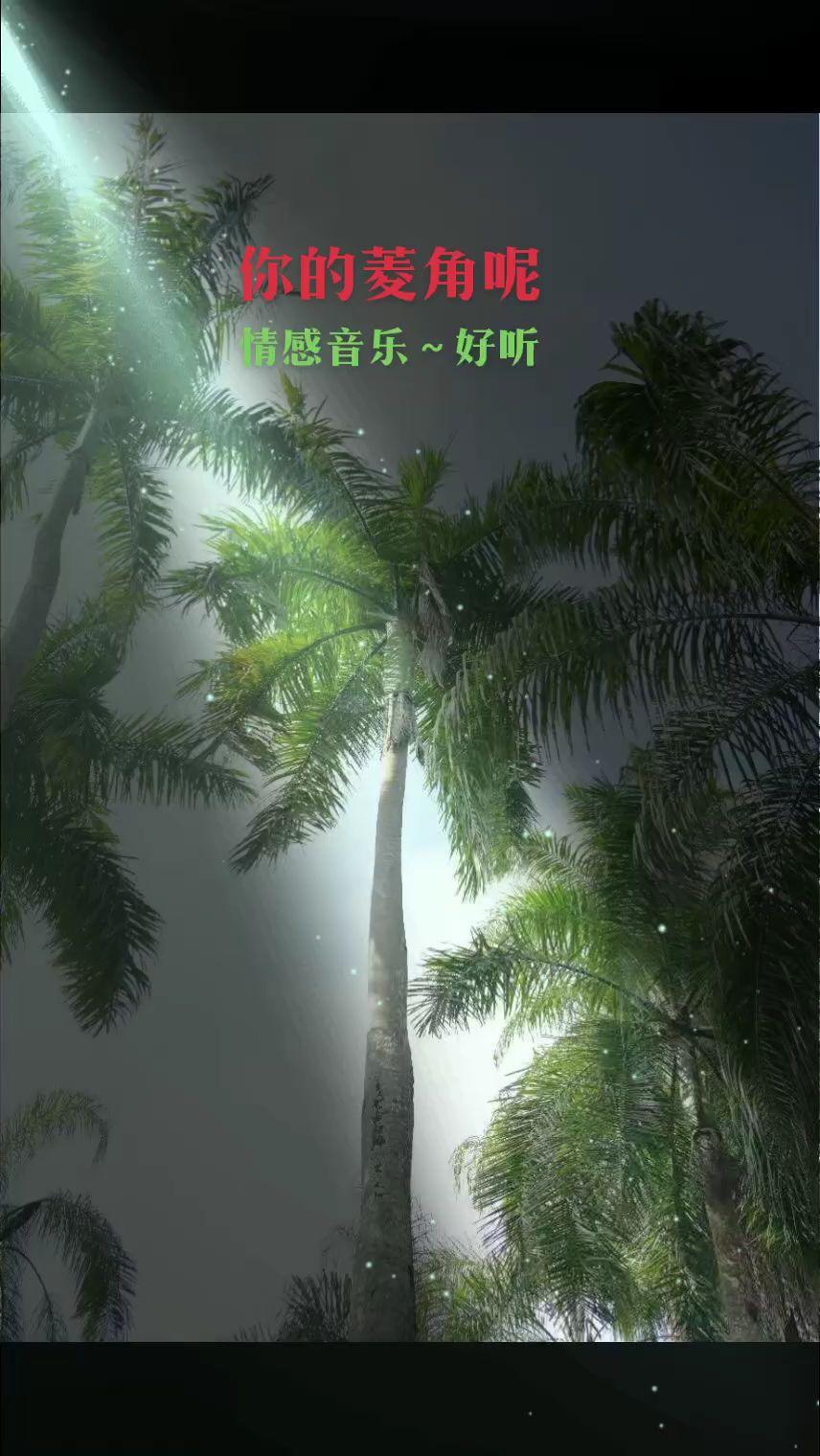 情感音乐一首歌一个故事 特效一束光