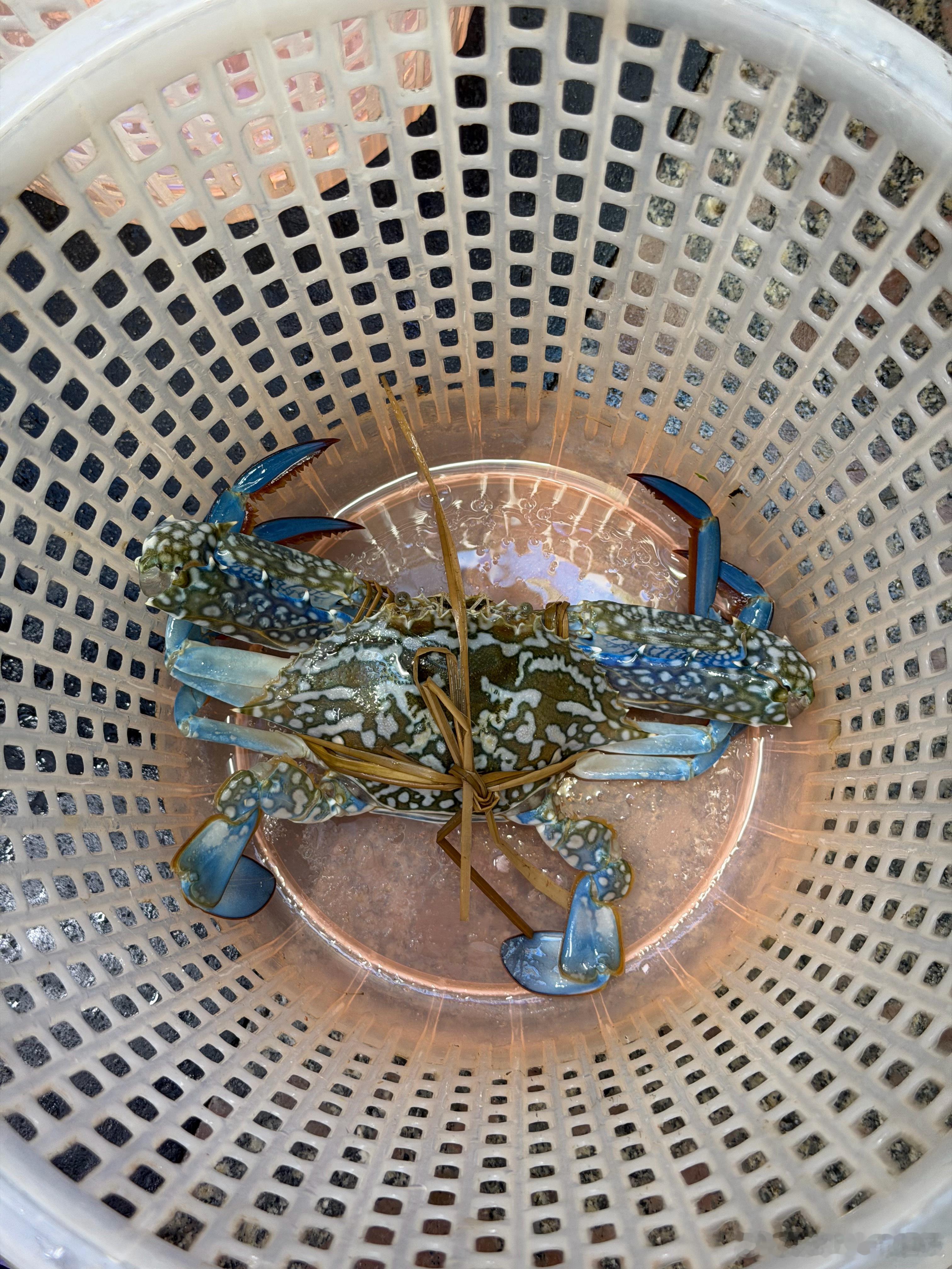 又潮又闷又热！高低得吃点儿海鲜了 北海