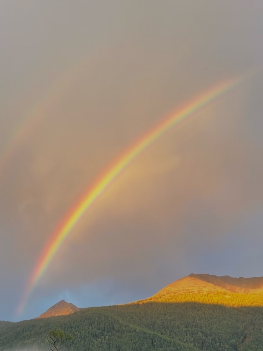 遇见彩虹🌈 ​​​