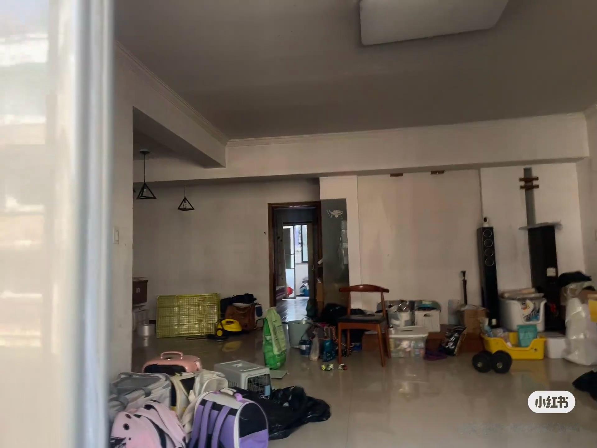 -全网寻找把猫送养到杭州富阳的送养人，请认领图上的航空箱/猫包，看看有没有你送出