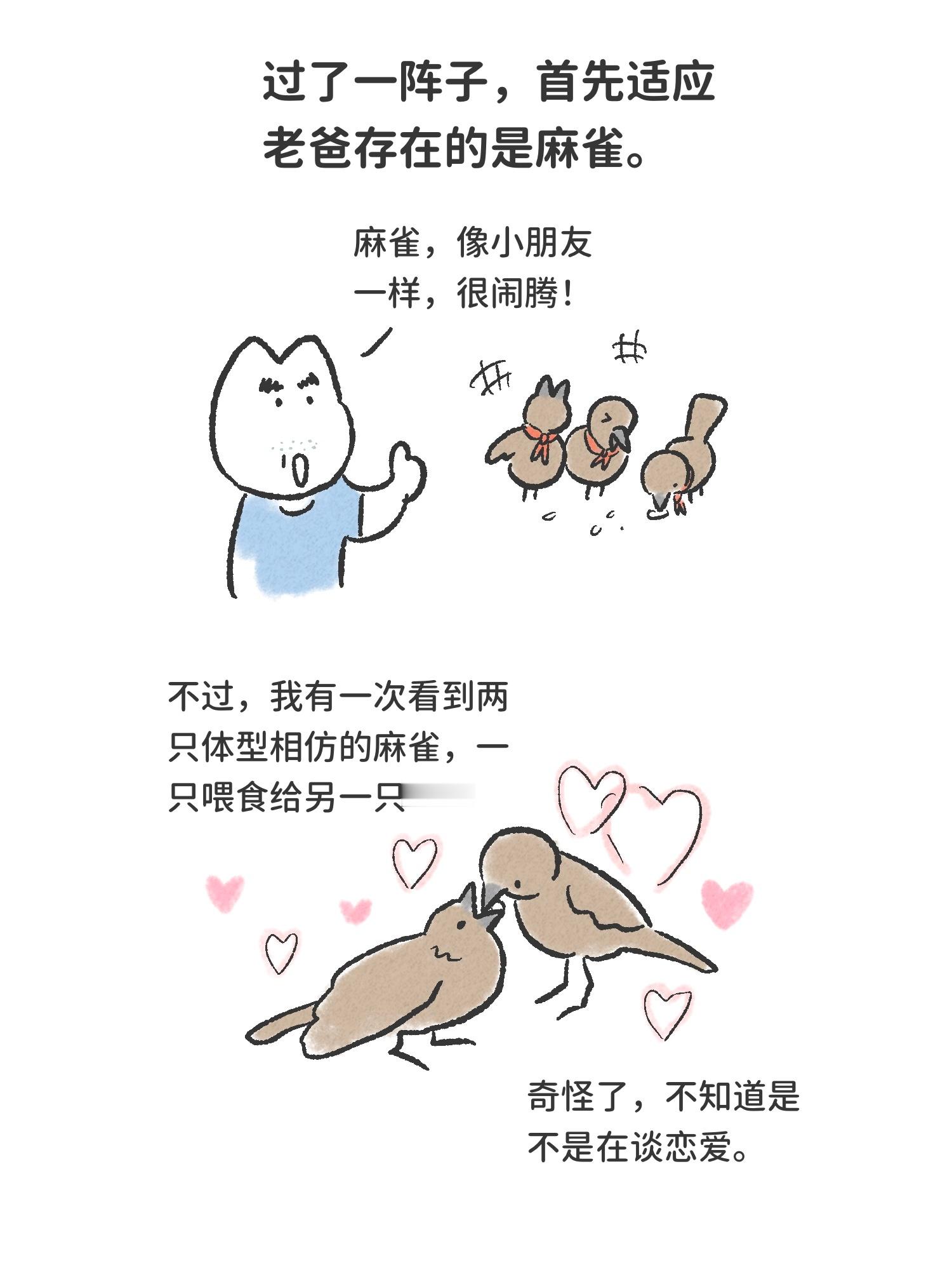 老爸观鸟心得漫画兔家往事