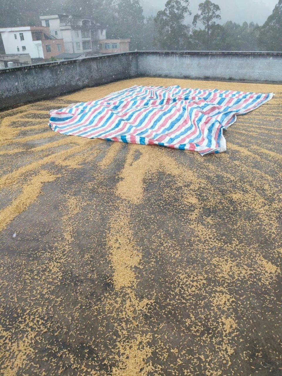 虽然没看懂，不过我也想问广西老表那个事情更严重啊