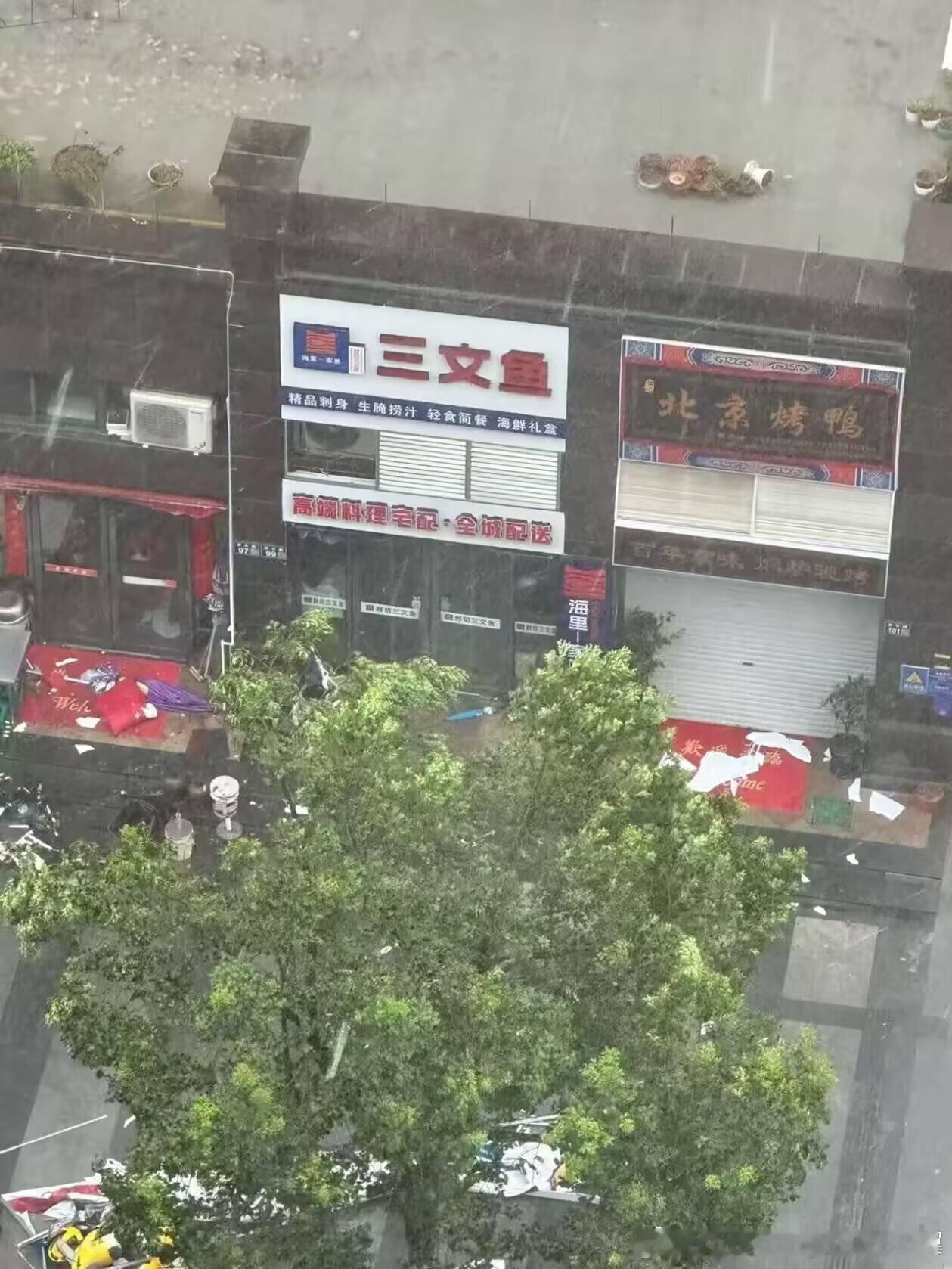 白海豚突然大拐弯 喂，白海豚，再刮点烤鸭上来 