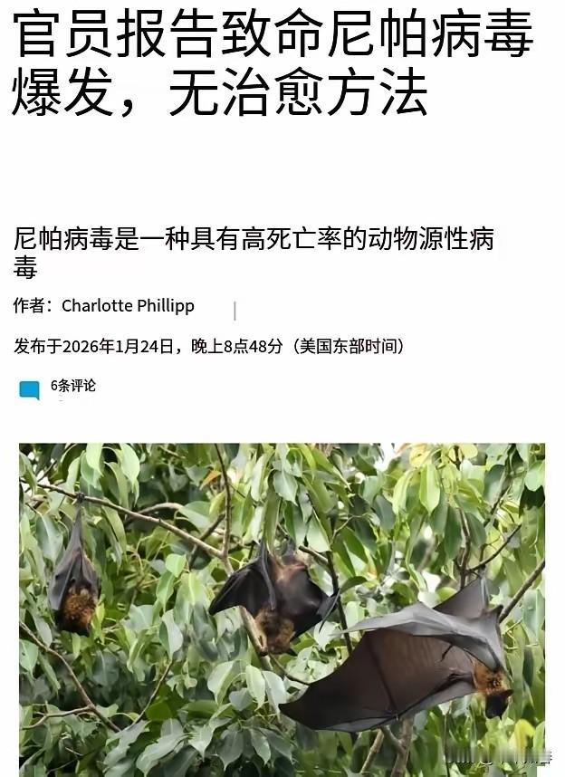 这次爆发的印度疫情，想起比尔盖茨21日发的话：五年后世界将进入新的黑暗时代（注：