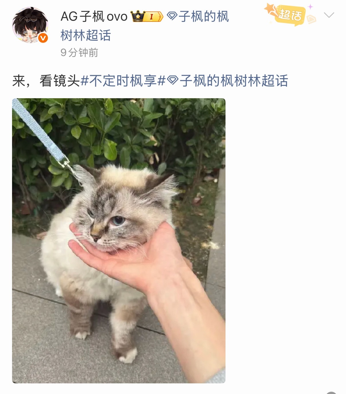 2026pel夏季赛 屏幕前的人也看镜头好不好2026pel