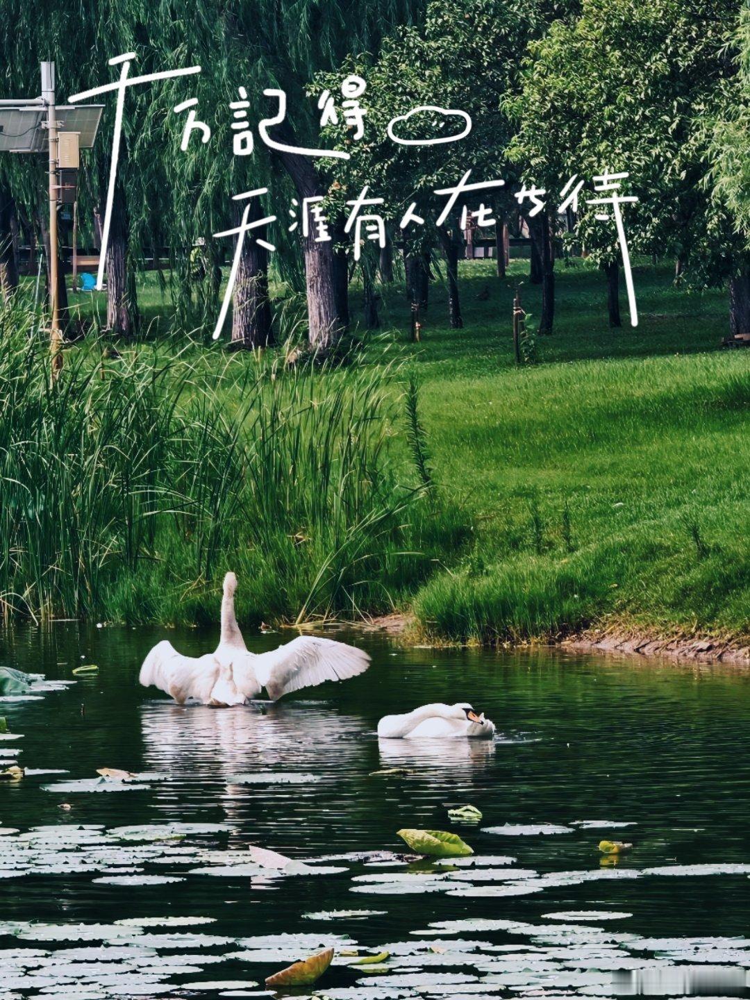 随手拍