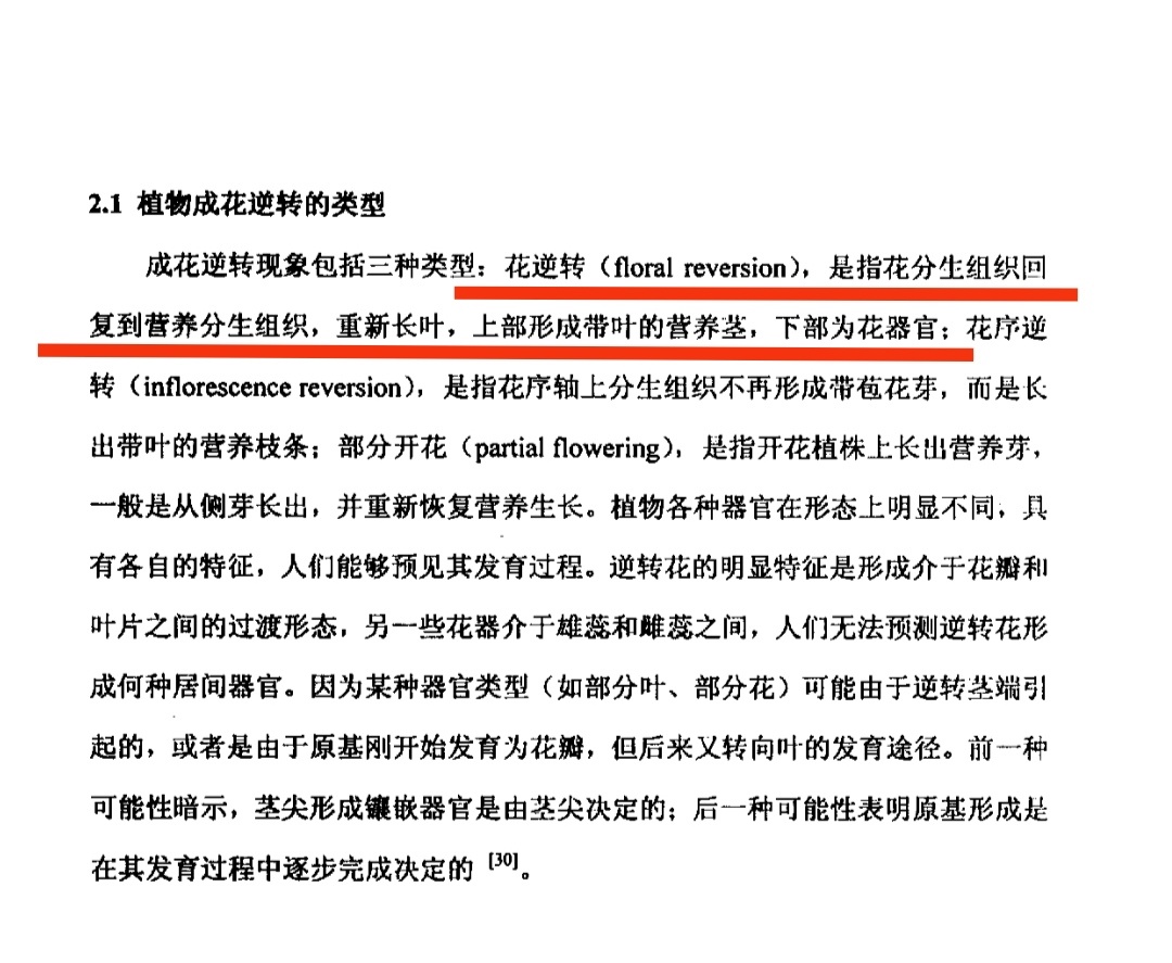 #花迟早会开只是花期还没到#可能就没有花期了。花也好，人也好，该开没开，可能永远