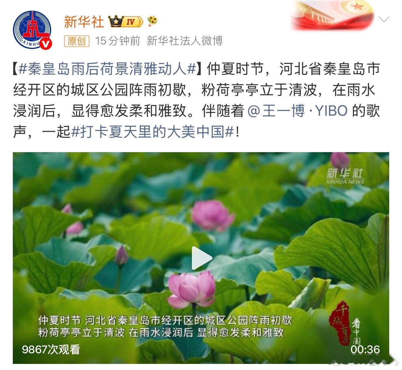 每天无论是早上，中午还是晚上，我们都有王一博优美的歌声陪伴我们，早安，午安和晚安