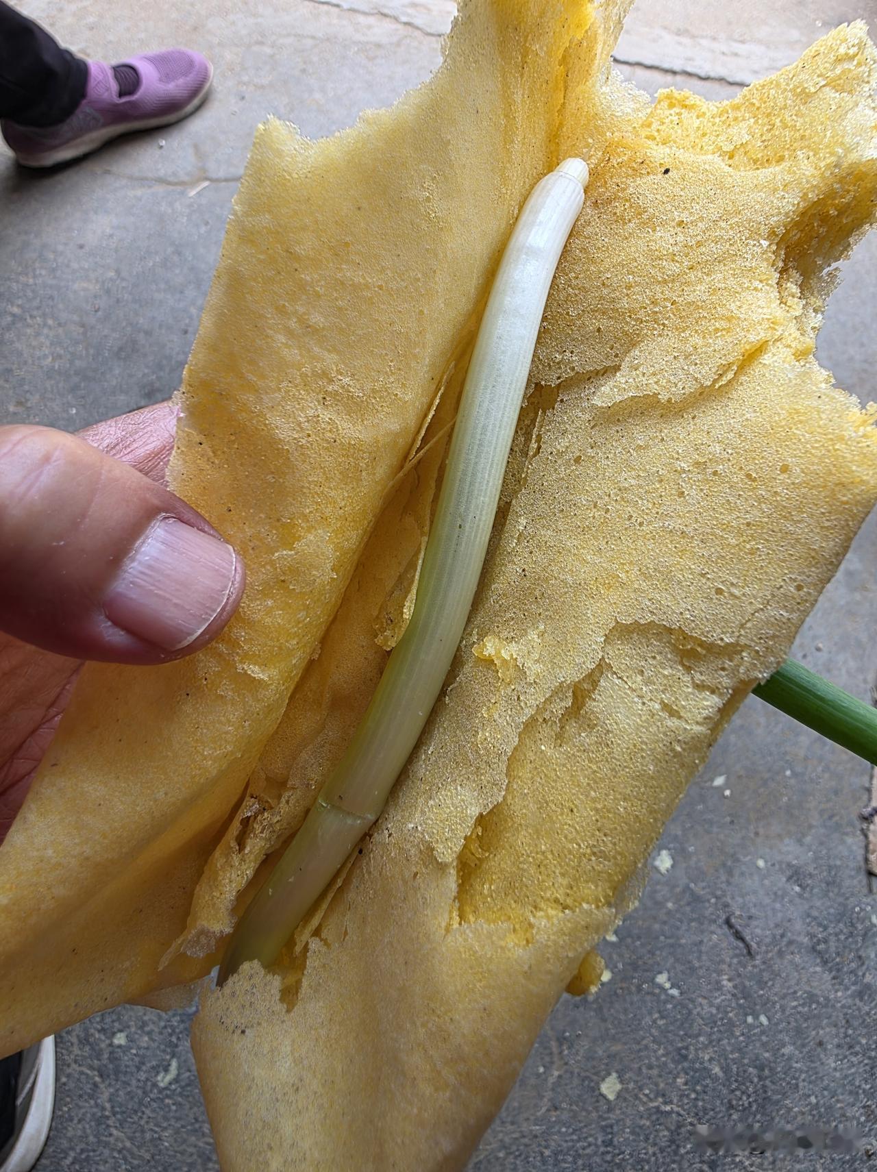 这么热的天，80岁的婶子摊煎饼，只是为了……

骨折恢复期，肩周炎还犯了，腰直不